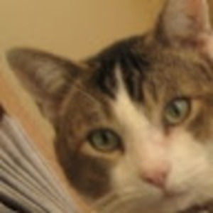 Meet your Posher, Sally